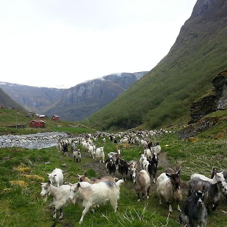 Hotel Undredal Gjestehus Zimmer foto