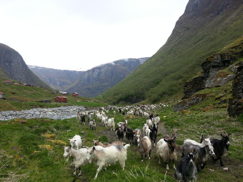 Hotel Undredal Gjestehus Zimmer foto